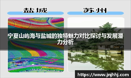 宁夏山屿海与盐城的独特魅力对比探讨与发展潜力分析